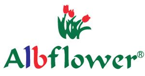 Albflower shpk