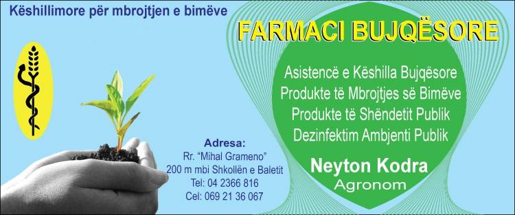 Sherbime Dezinfektimi