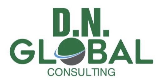 DN GLOBAL CONSULTING SHPK